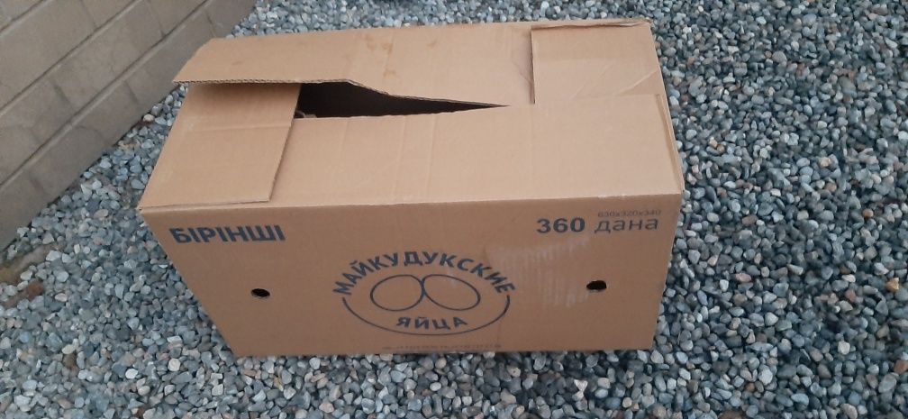 Пустая коробка от яицо