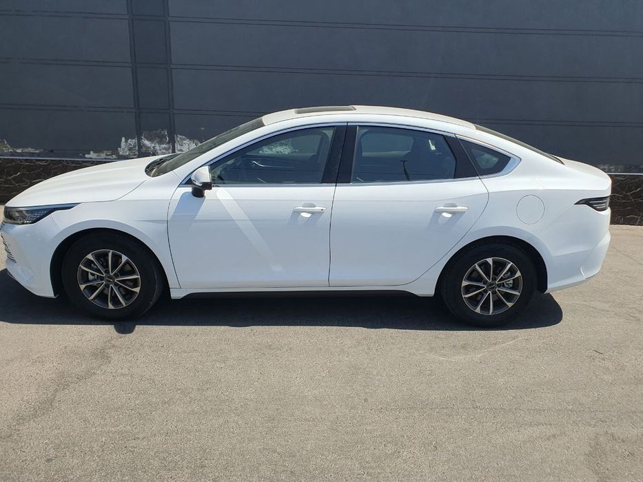 Byd chazor chempion 55 talik