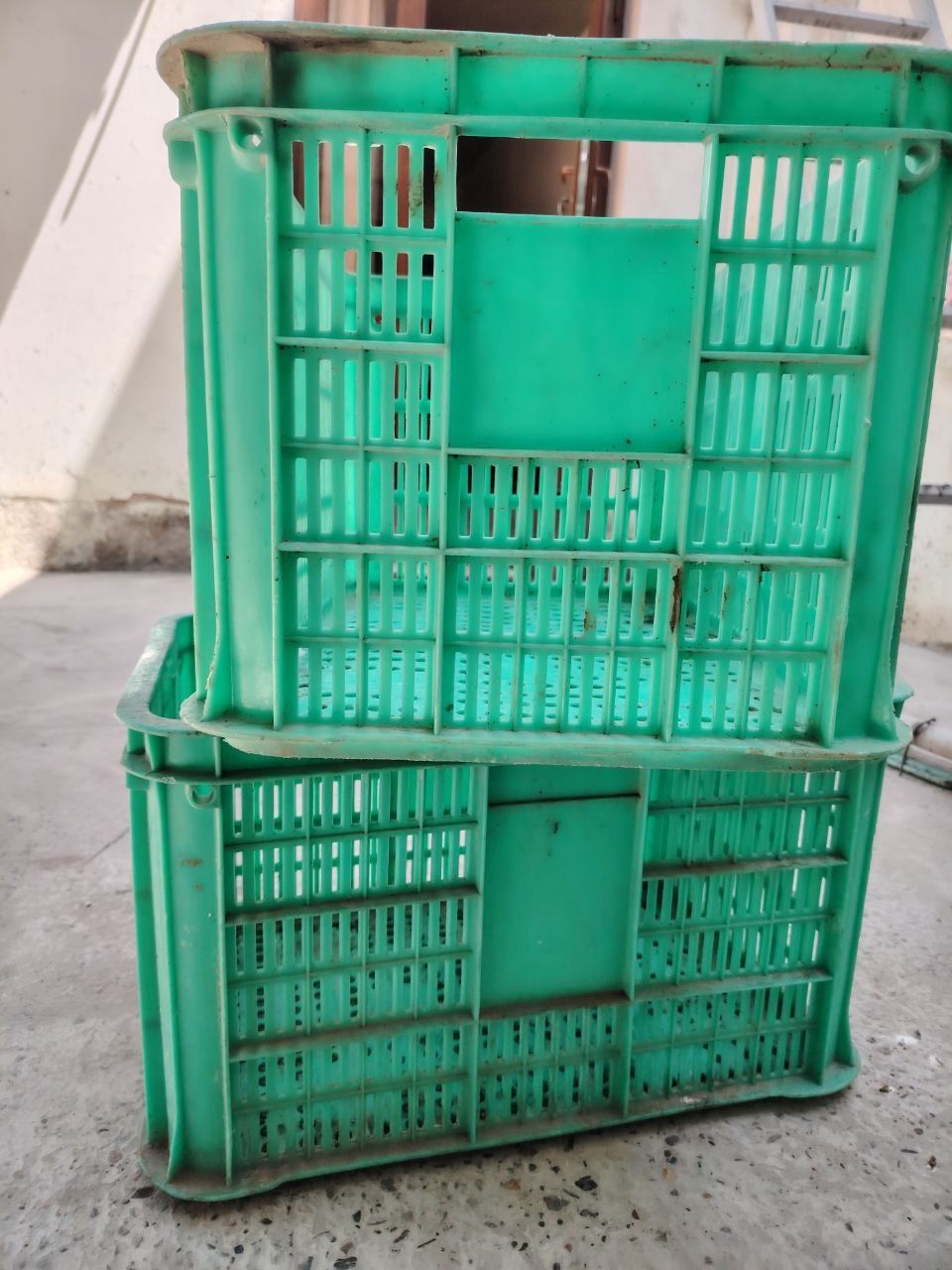 Продаёт ящик для фруктов