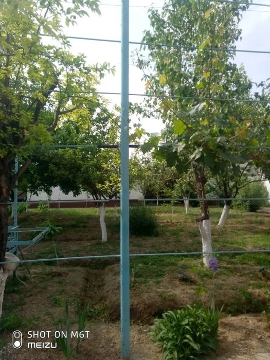 Уй Сотув учун Гулистон, Улугобад (птицсовхоз)