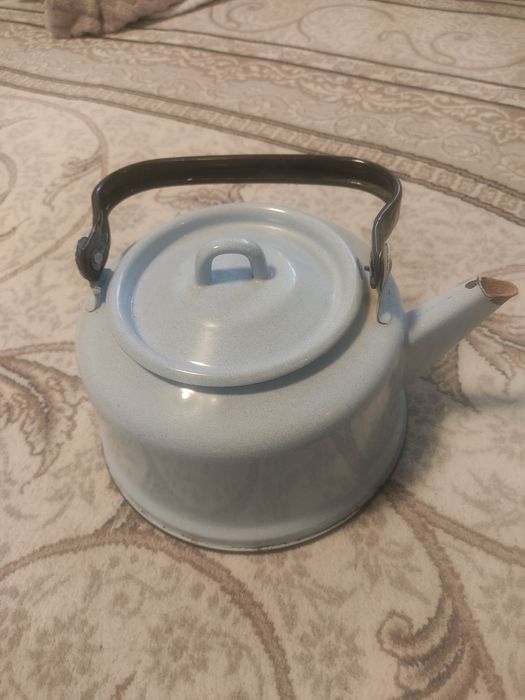 Чайниеэмалированый