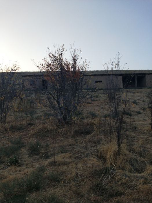 Село Жигерген продается дом