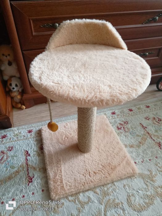 Когтеточка для котят