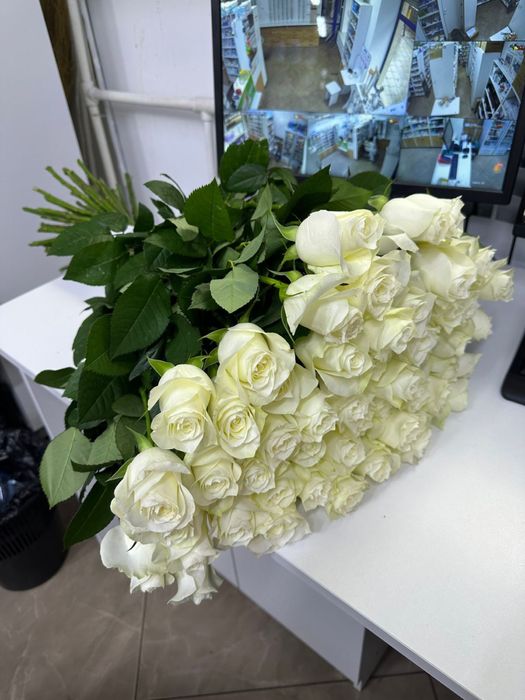 Продам 51 свежие белые метровые розы