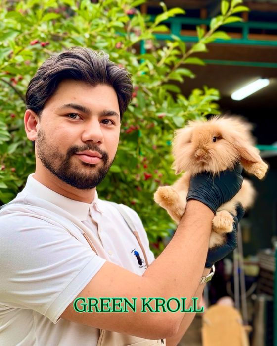 Quyon. Кролик. GreenKroll
