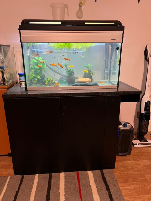 Acvariu complet cu stand ,filtru extern,pompa oxigen si pesti