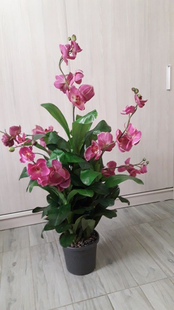 Большая орхидея для декора. 1,5м