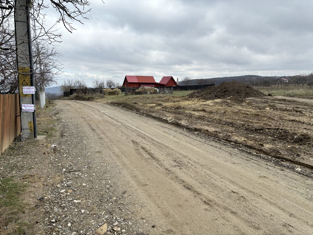 PF- teren Intravilan Bucium/Paun 3700mp, Str. Cerbului- cu utilitati