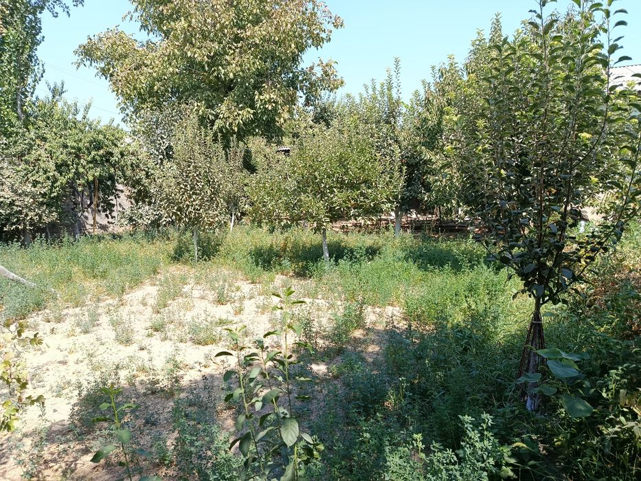 Yer sotiladi 4.5 sotix