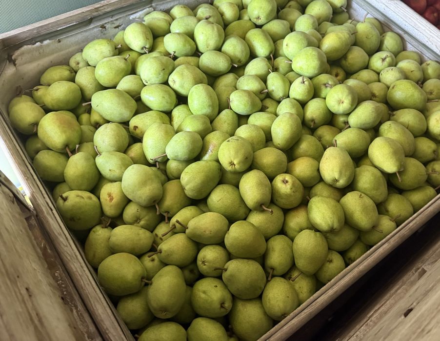 Mere si pere romanesti