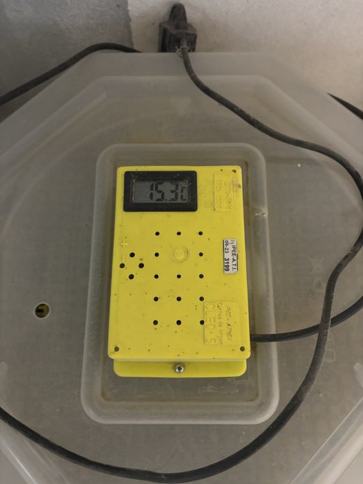 Vand 2 incubatoare !