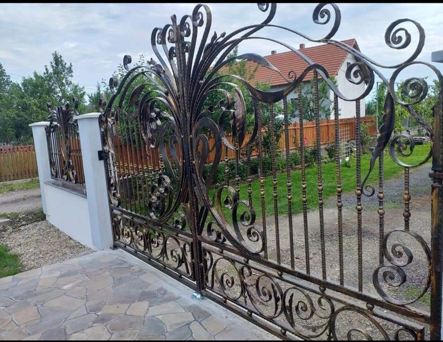 Porti si garduri Iedera din fier forjat