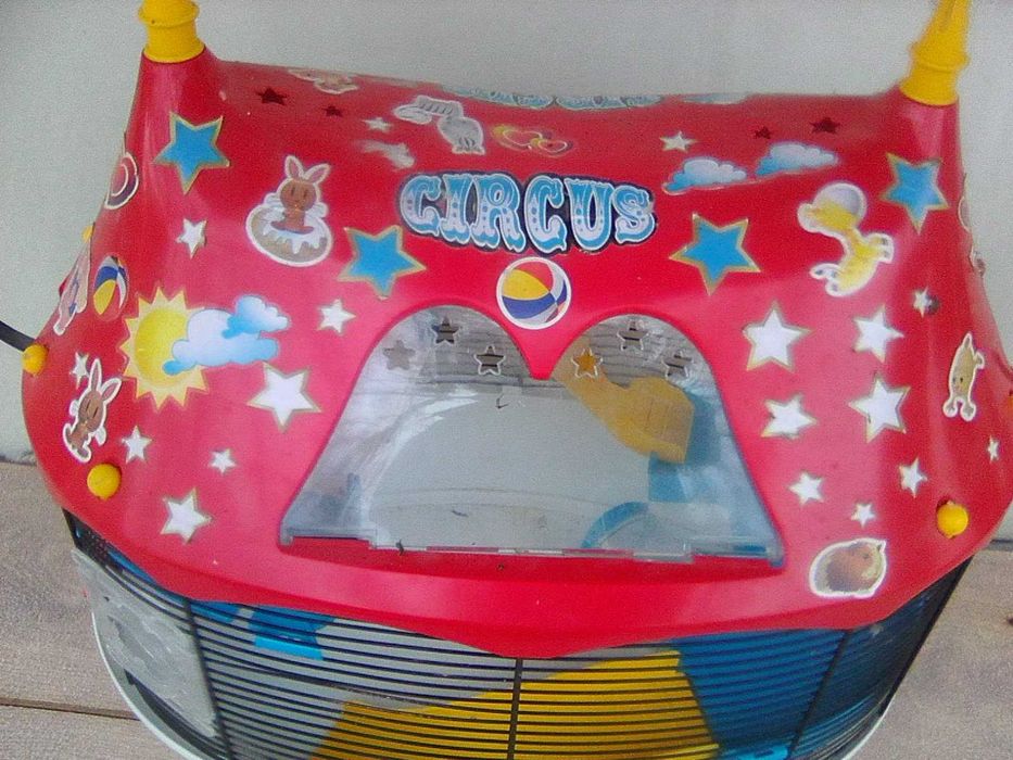 hamsteri pitici siberieni si cusca la cerere