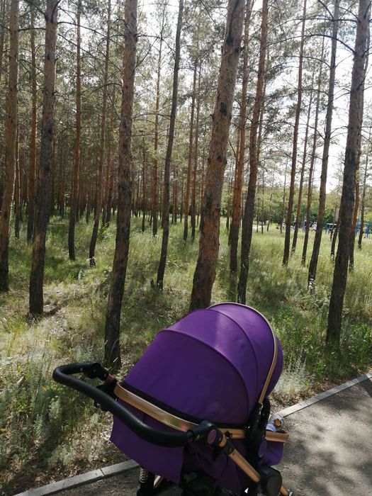 Продам срочно коляску зима - лето