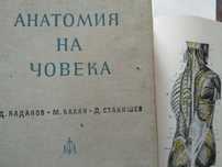 Анатомия на човека-атлас-том-2 -Цветна-1964г-Станишев, Балан, Каданов