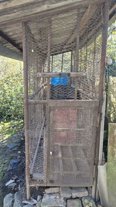 Vănd Costei din metal pentru  porumb