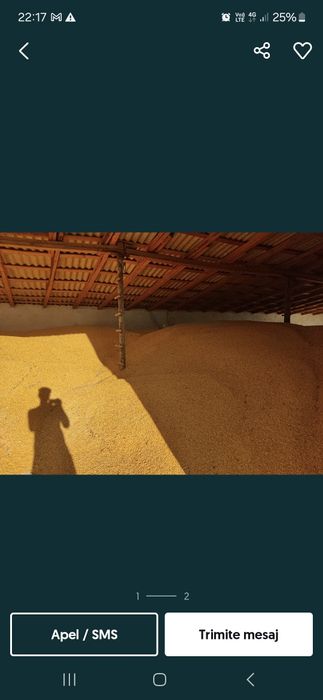 Cereale productie 2025
