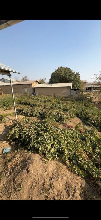 parkent tumanida uchastka