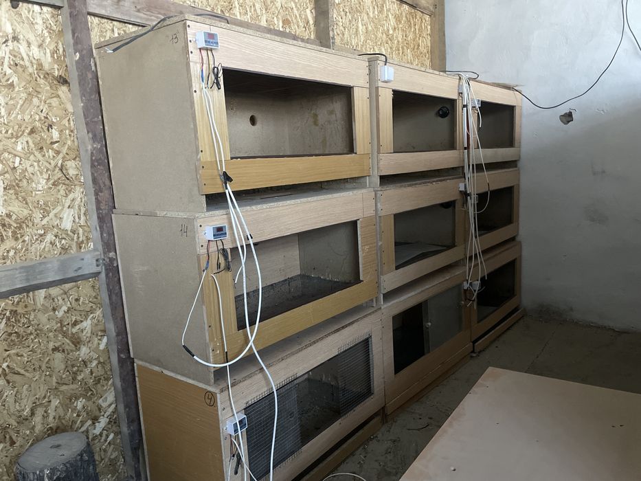 Брудеры для цыплят