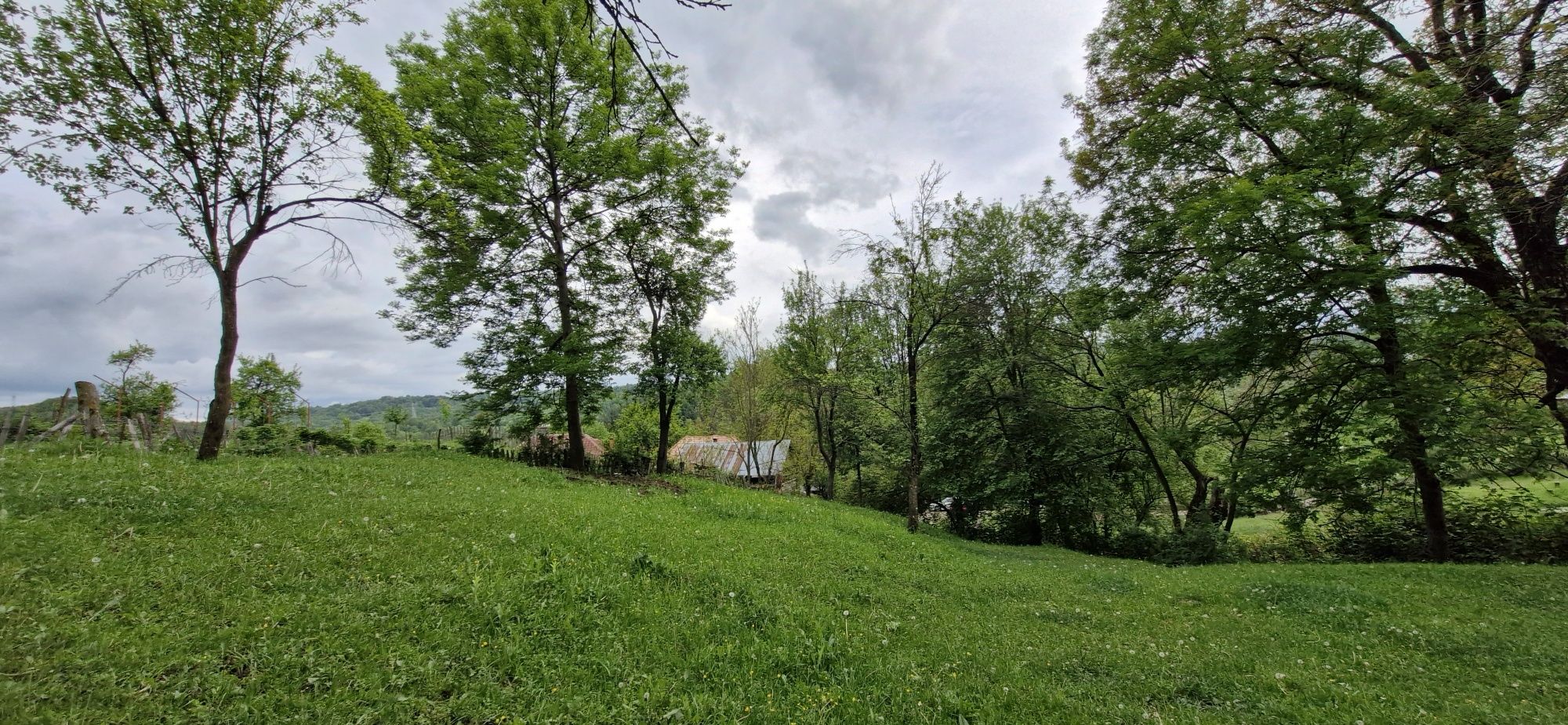 Teren la munte Intravilan 1600mp Arefu-Arges (Transfăgărășan) 17eur/mp