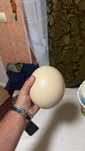 Vând ouă Struti pentru consum , media de 1.400 kg oul