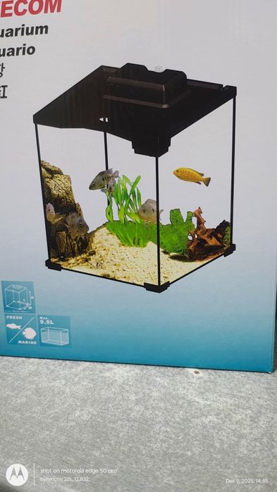 Acvariu pești-plante ,nou, mini ,superb de dragut (daca pot spune așa)