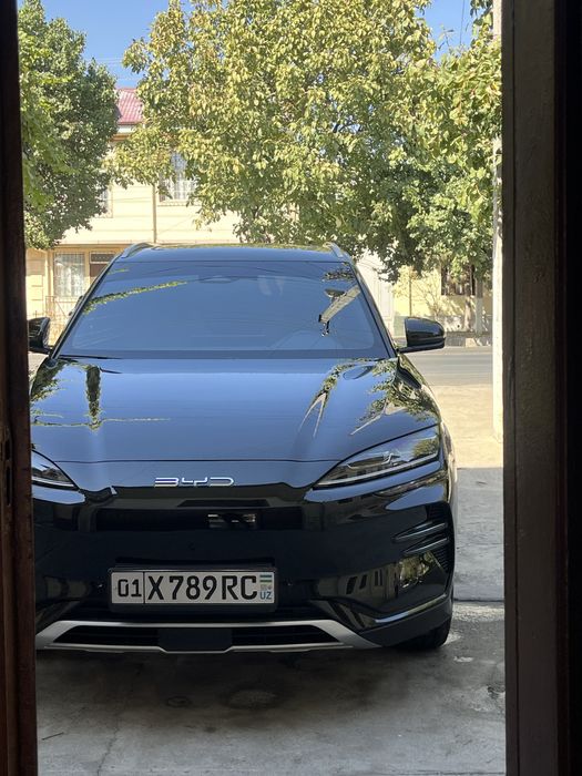 BYD Chimpiyon 23 24