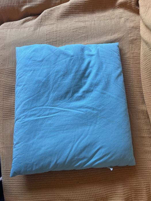 Lot 2 perne cu pene  si puf