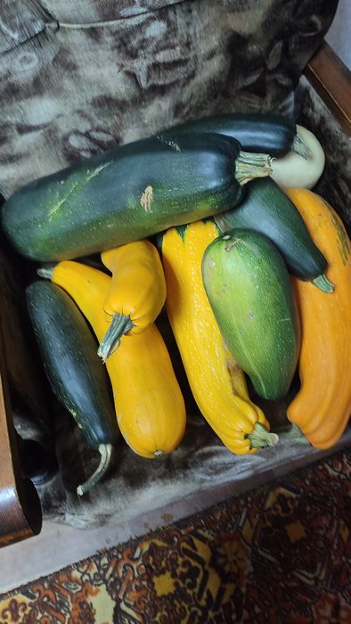 Продам супер кабачки,выращены у себя в огороде!