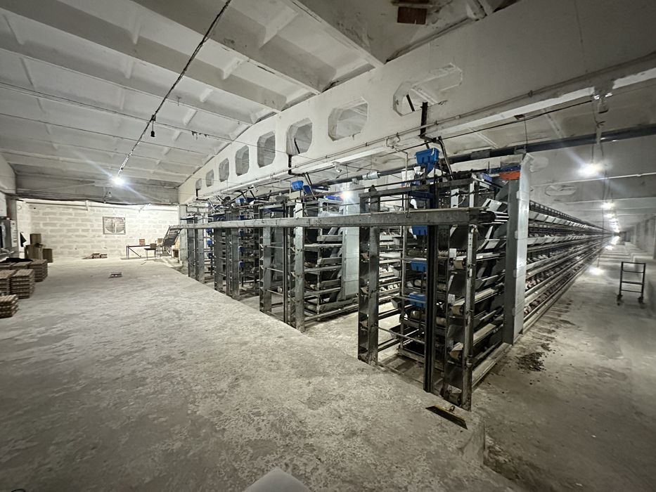 Продается ферма 2 гектар Земля помещение