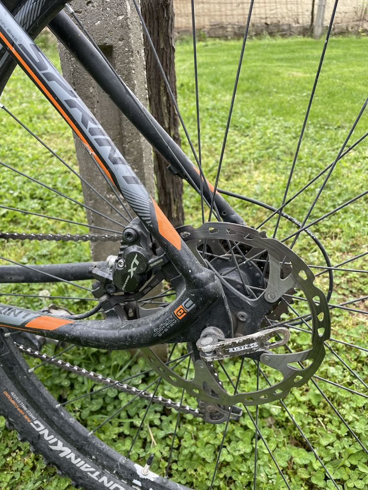 Sprint apolon 29