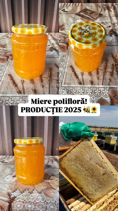 Vand Miere poliflora