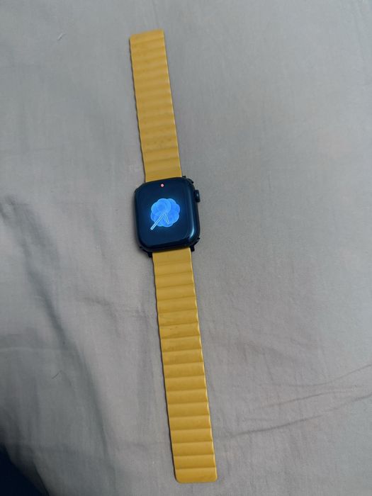 Apple watch 10 42 почти новый 100% заряд