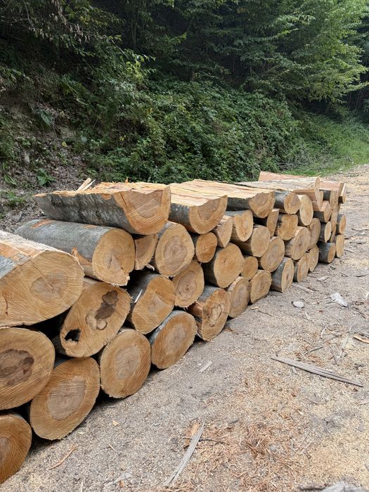 ‼️Lemne de foc de cea mai bună calitate [Fag,Gorun,Carpen,Cer