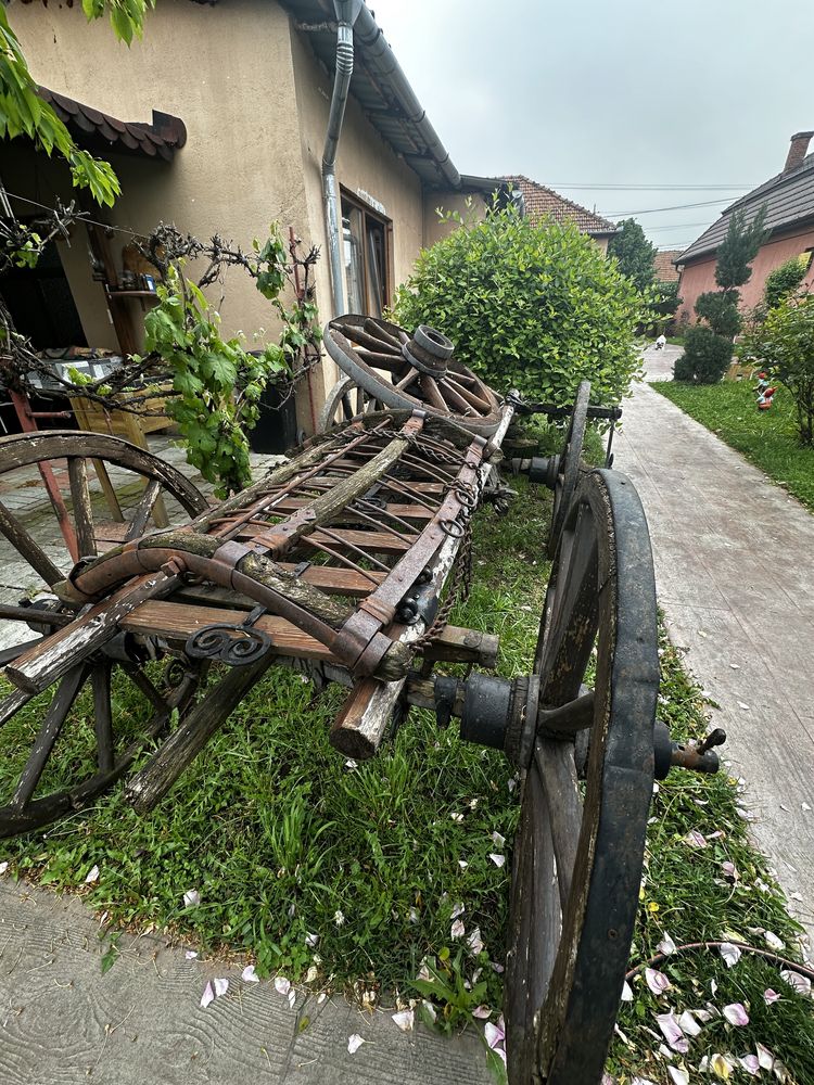 Căruța pentru decor grădină