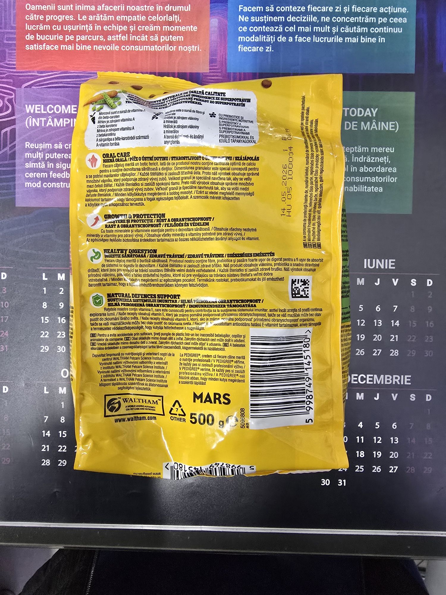Mancare Pedigree Junior 500gr