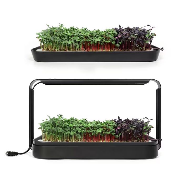 Kit crestere microplante hidroponic