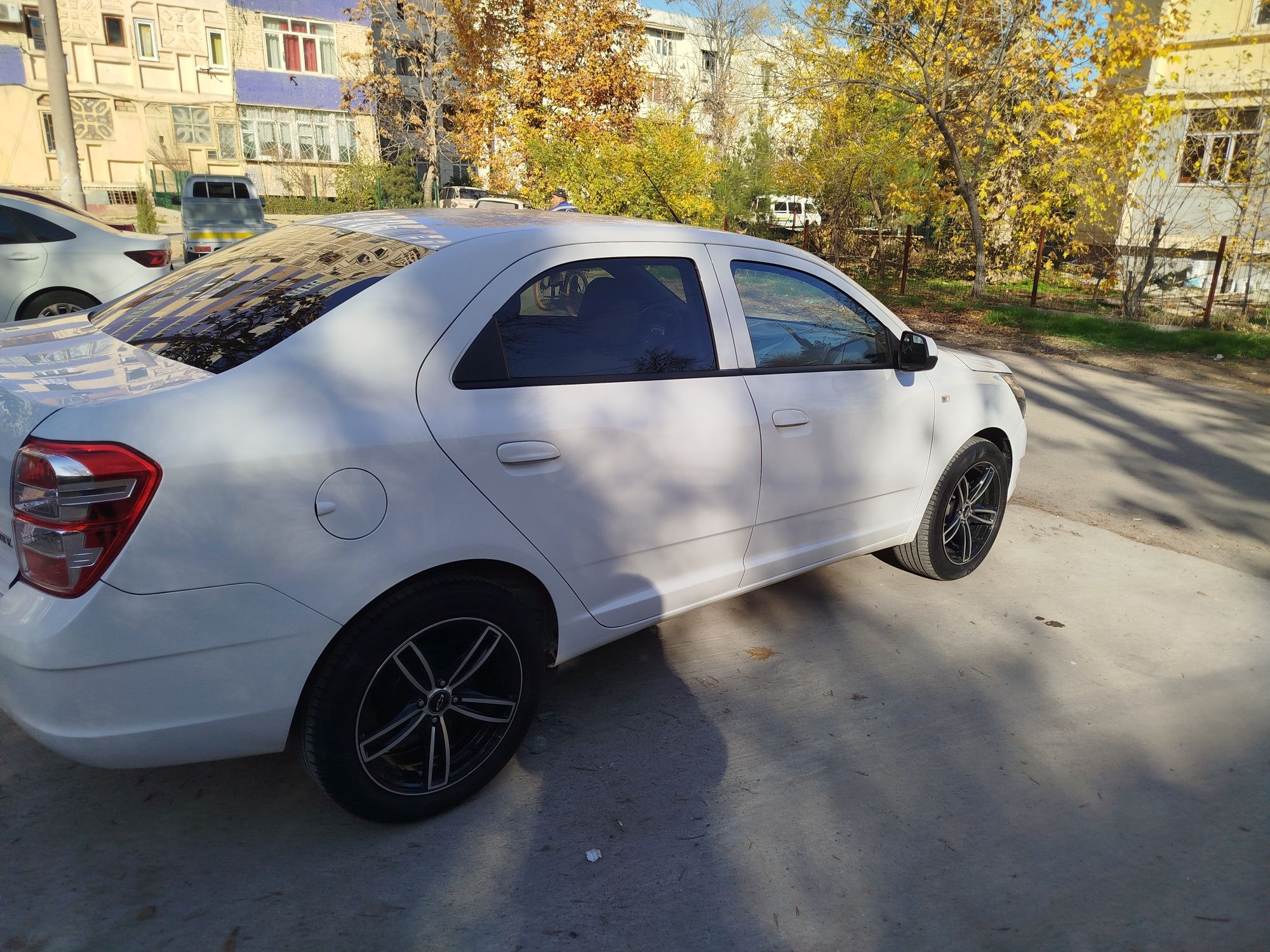 Cobalt kriditi bor 2024