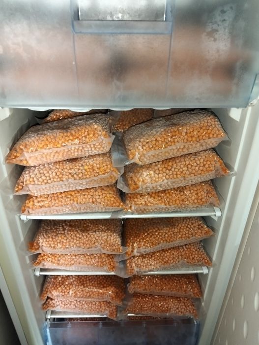 Suc de catina cu miere pentru imunitate