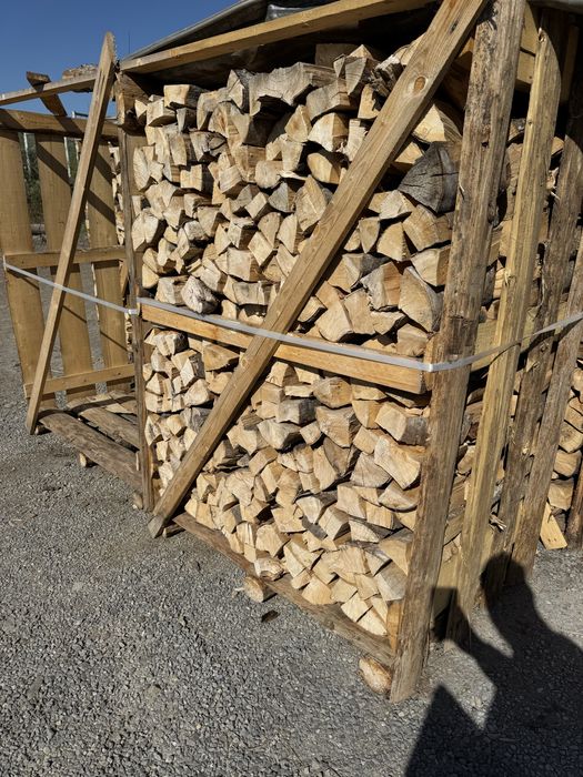 Lemn de foc uscat specia fag
