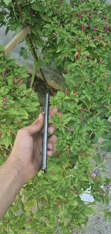iPhone  Xs max sotiladi