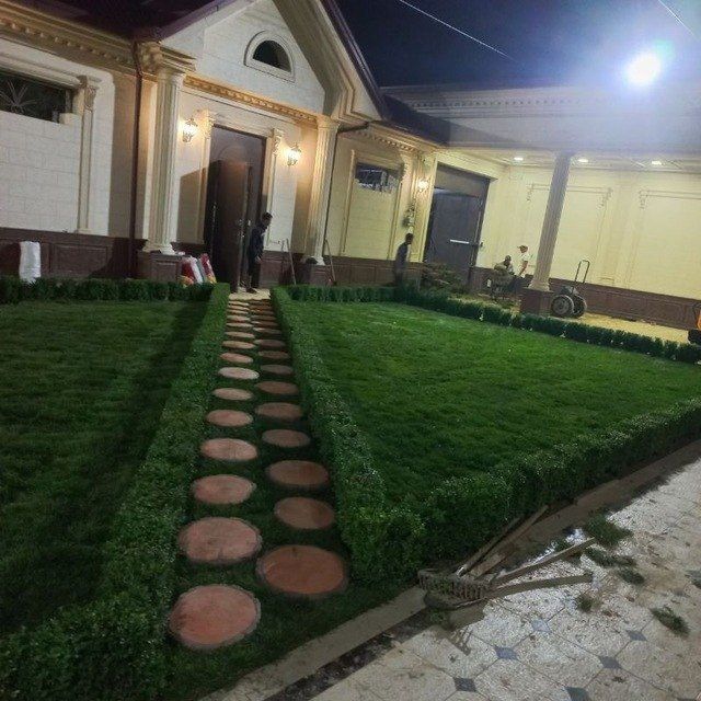 Газон экиш арча иш дорилаш олиб бориб экиб бериш хизмати бор archa