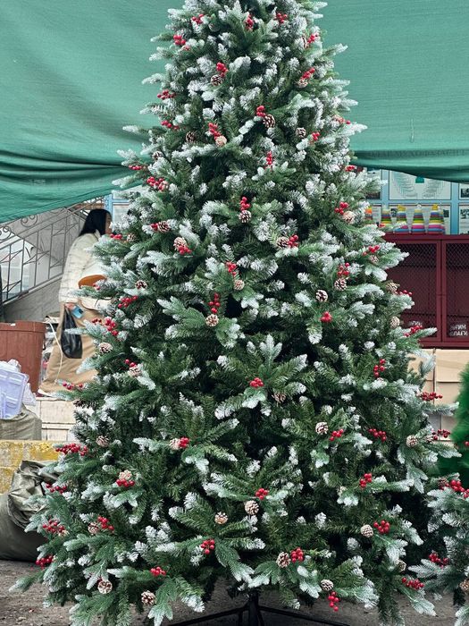 ‼️Внимание ёлки.  Новогодние ёлки до 8 метров. Оптовые цены.