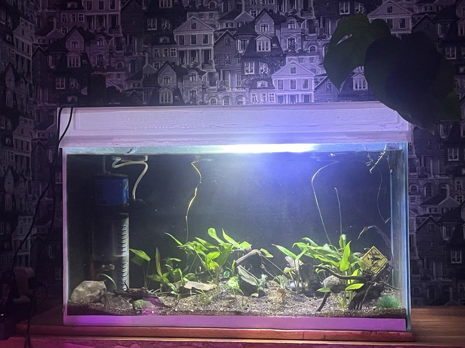 Аквариум 100 литров