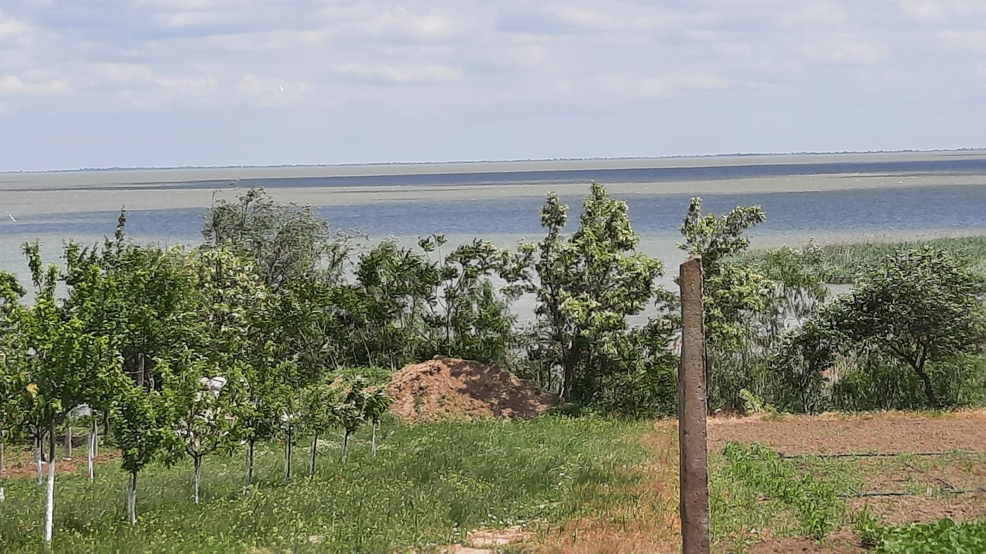 Delta Dunării / lac Razim/ casa, pensiune, teren