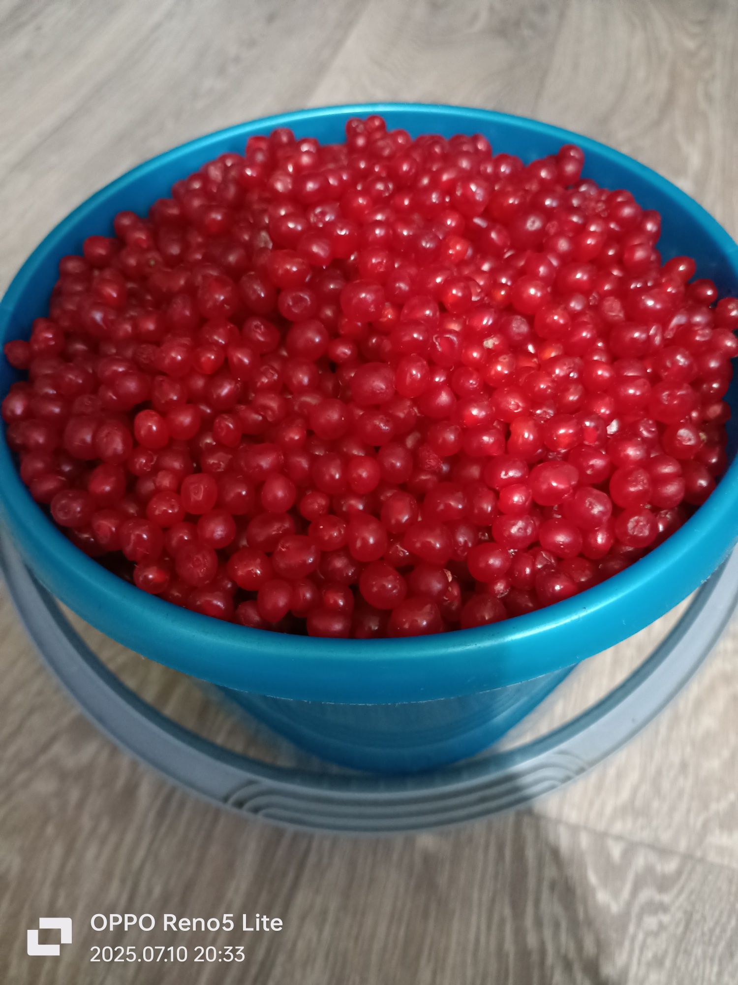 Продам костянку.