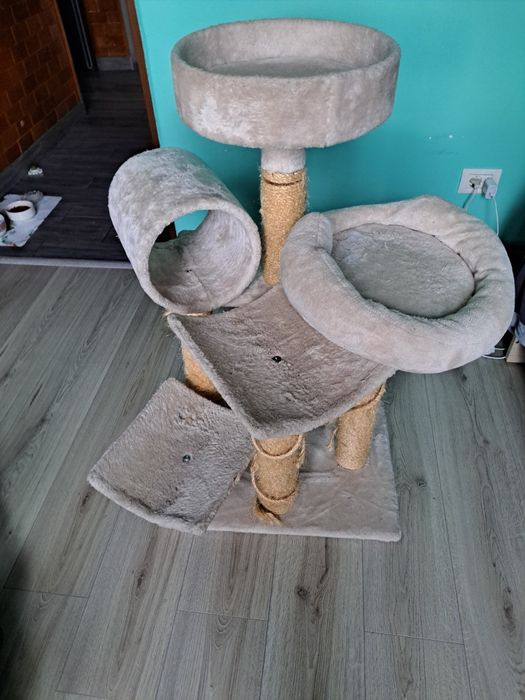 Ansamblu pisici de joaca