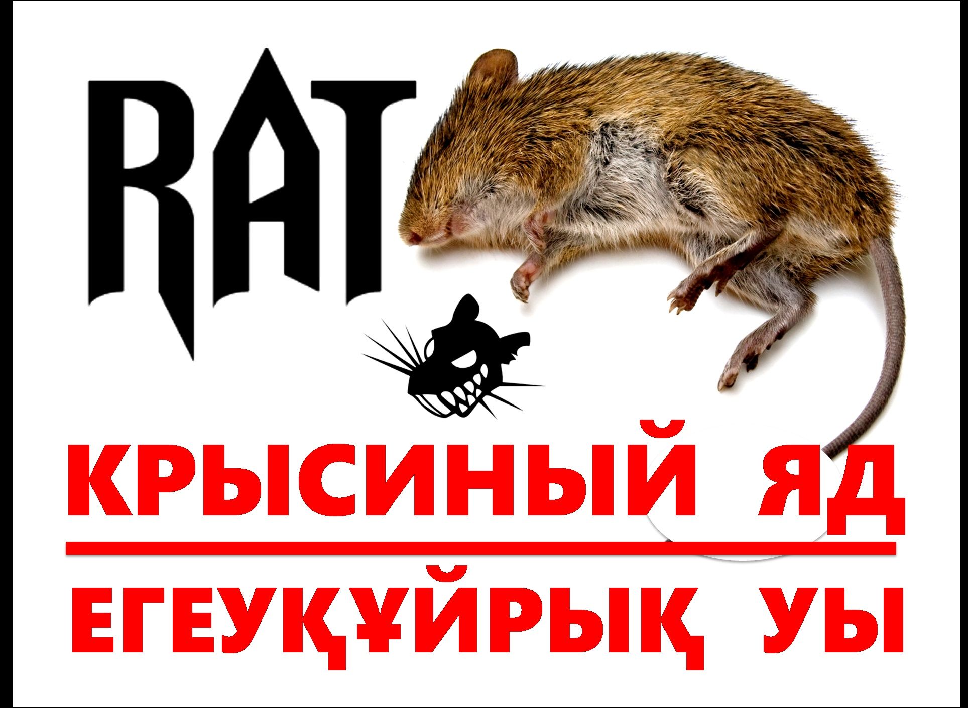 Уничтожение грызунов, крыса, мышь, убить грызунов