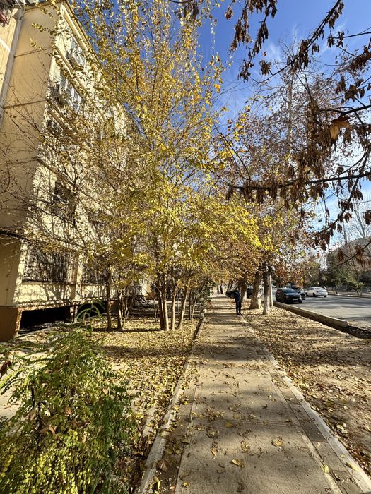 3/1/5 Карасу-1 подходит под любой бизнес!78м.кв,Первая линия 90.000 $