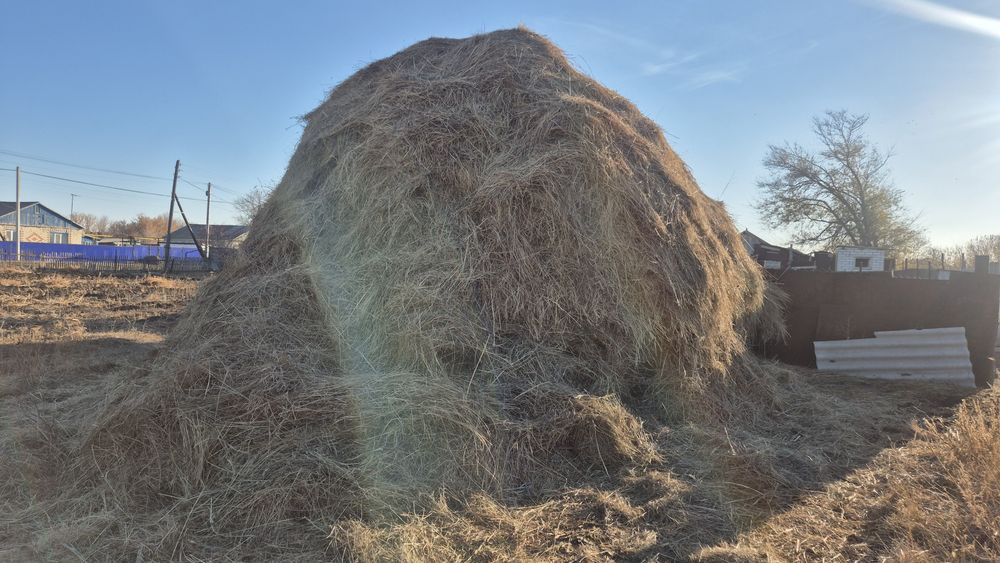 Продам сено излишки